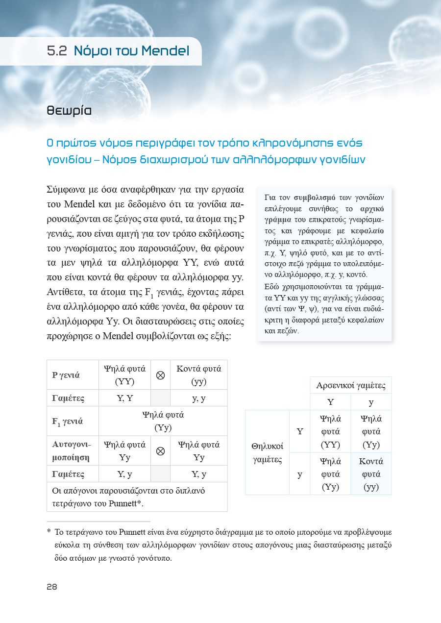 Δείγμα σελίδας 14