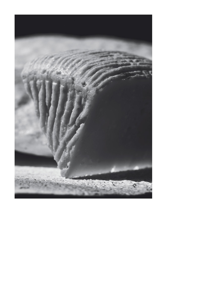 Δείγμα σελίδας 12