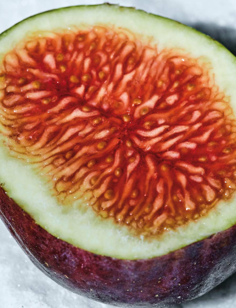 Δείγμα σελίδας 17